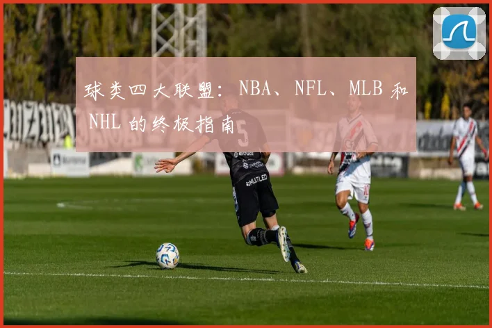 球类四大联盟：NBA、NFL、MLB 和 NHL 的终极指南